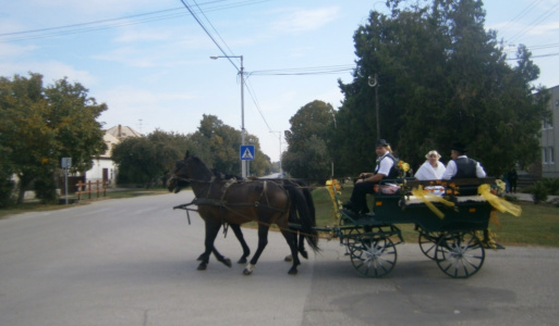 Szüreti vigadalom 2018 