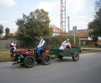 Oberačková veselica 2016