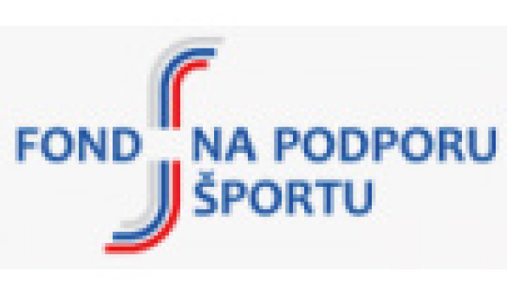 Multifunkčné ihrisko - Fond na podporu športu